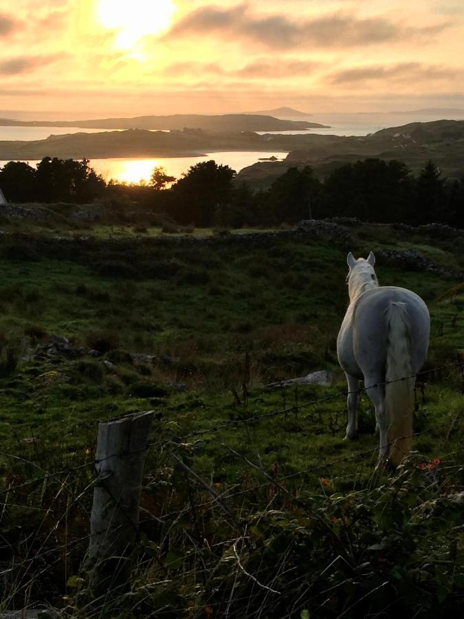 Seafield House B&B Clifden Exteriér fotografie